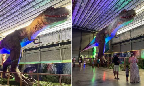 
				
					Réplica gigante de Tiranossauro Rex tem visitação gratuita em parque de Lauro de Freitas
				
				