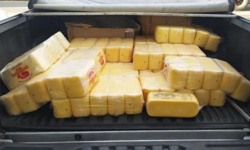 
				
					Carga de 250 kg de queijo é apreendida na BR-116, na Bahia
				
				