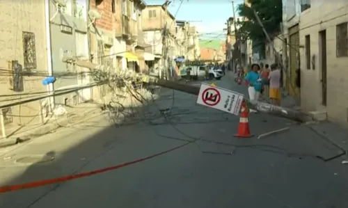 
				
					Caminhão carregado de madeira derruba poste e interdita via em Salvador
				
				