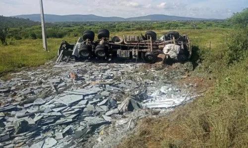 
				
					Homem de 29 anos morre após caminhão tombar na BA-152
				
				