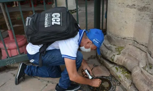 
				
					Prefeitura intensifica combate a dengue neste final de semana em Salvador
				
				