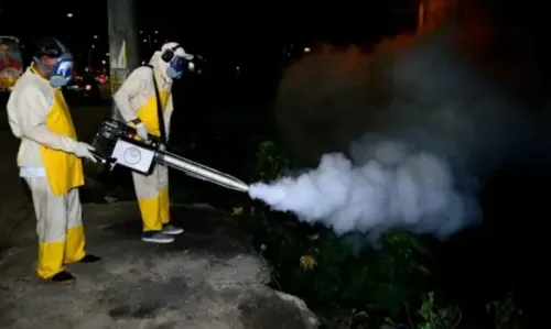 
				
					Bairros de Salvador recebem ações de combate a muriçocas
				
				