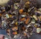 
                  Quase 200 caranguejos e guaiamuns são resgatados na BA
