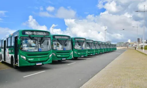 
				
					Frota de Salvador ganha mais de 30 novos ônibus climatizados
				
				