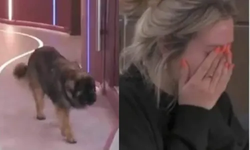 
				
					Participante do Big Brother chora ao ver cachorro no reality e não poder tocá-lo; veja vídeo
				
				