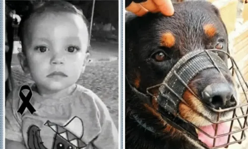 
				
					Menino de 3 anos morre após ser atacado por cachorro na Bahia
				
				