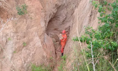 
				
					Vídeo: cachorro é resgatado após cair em penhasco com 35 metros de altura na Bahia
				
				