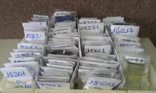 
				
					Mais de mil documentos foram recuperados no carnaval de Salvador; saiba como resgatar
				
				