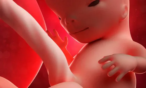 
				
					Onze semanas de gravidez: entenda como o bebê se desenvolve neste período
				
				
