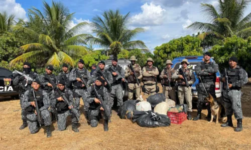
				
					Ação policial apreende quase 200 kg de maconha em sítio de Juazeiro
				
				