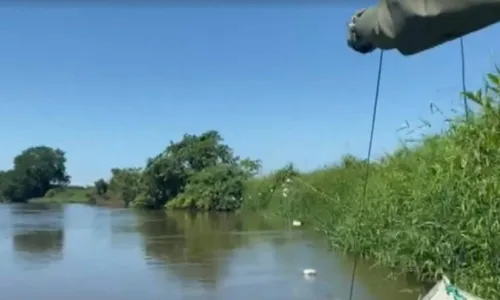 
				
					Doze armadilhas pesqueiras são apreendidas em rios do oeste da Bahia
				
				