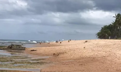 
				
					Três pessoas são baleadas em barraca de praia de Salvador
				
				