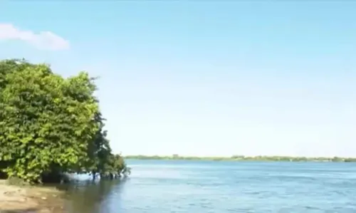 
				
					Travessia de barco para ilha no Rio São Francisco volta a funcionar nesta quinta-feira (9)
				
				