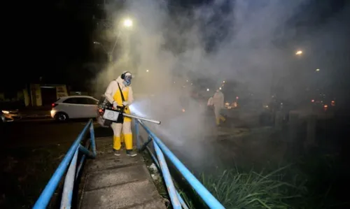 
				
					Circuitos do Carnaval de Salvador recebem ação especial de combate e prevenção ao Aedes
				
				