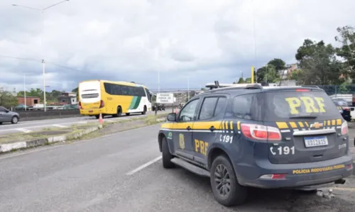 
				
					Aves são resgatadas em lixeira de ônibus de viagem na Bahia
				
				