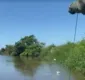 
                  Doze armadilhas pesqueiras são apreendidas em rios do oeste da Bahia