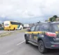 
                  Aves são resgatadas em lixeira de ônibus de viagem na Bahia