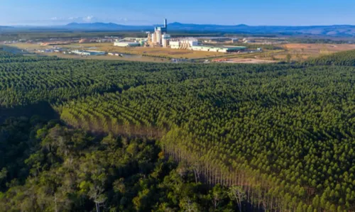 
				
					Empresa de celulose oferece vaga para técnico de manutenção em equipamentos florestais na Bahia
				
				